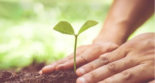 protecting-your-finances-and-environment
