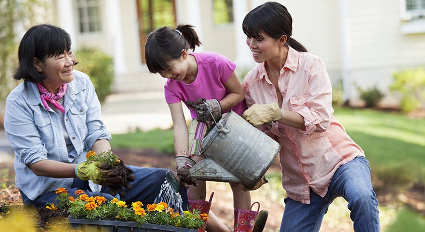 Family Gardening in yard