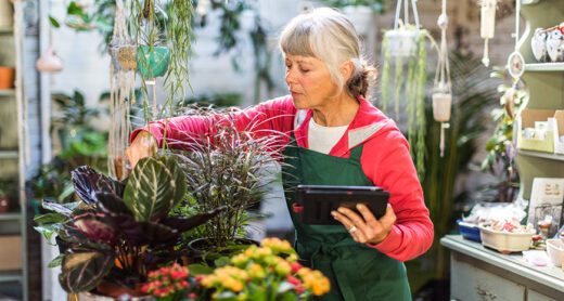 A senior woman working in a garden shop. She is wearing an apron, carrying a tablet, and tending to a plant.