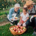 Why Reviewing Your Medicare Plan Each Year Matters